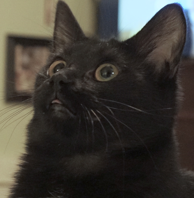 Kasie